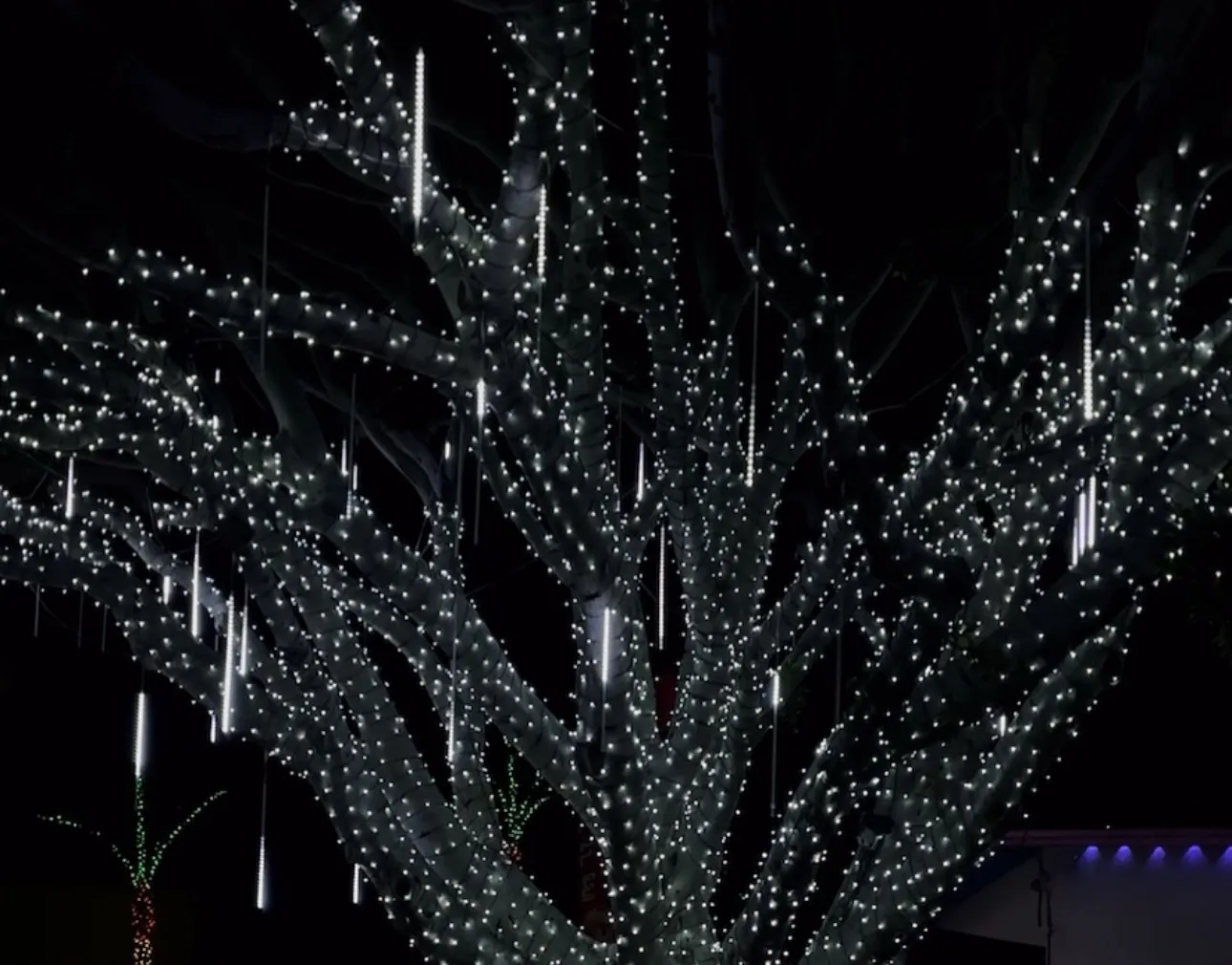 A street tree wrapped in icicle-drop lights outside a commercial storefront at night.