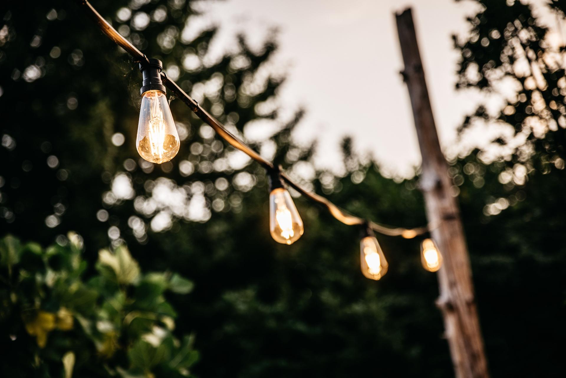 Illuminated Edison Bulb String Lights in Garden at Dusk