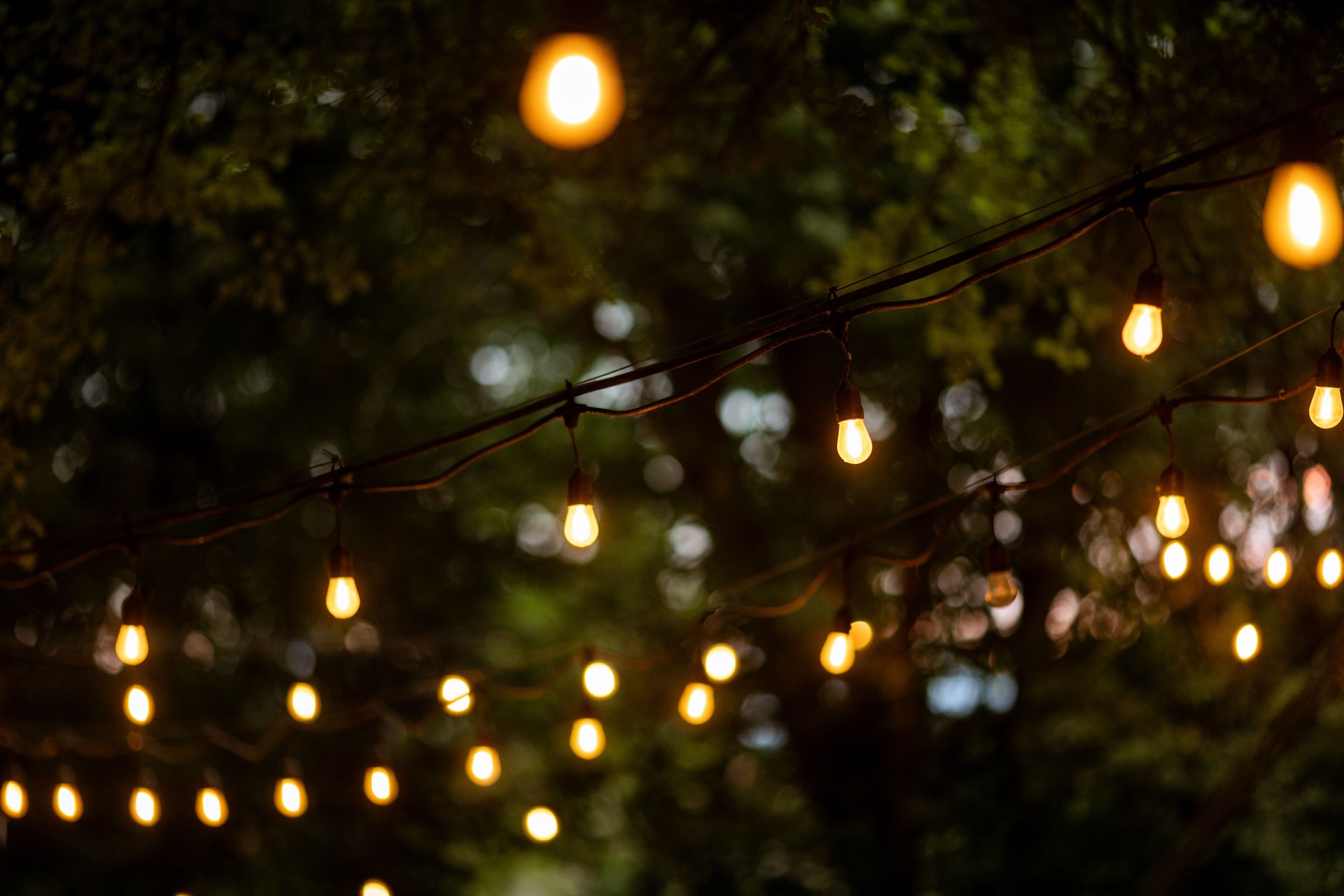 Beautiful Wedding Reception Hanging String Lights at Night